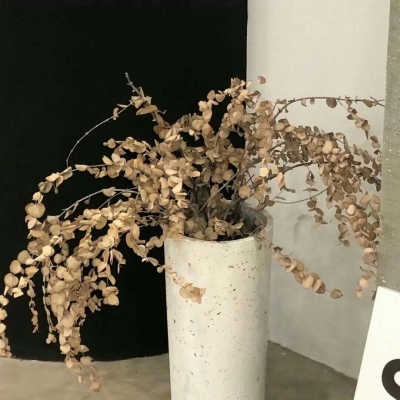 Furry插画光影解析干货兽圈社群